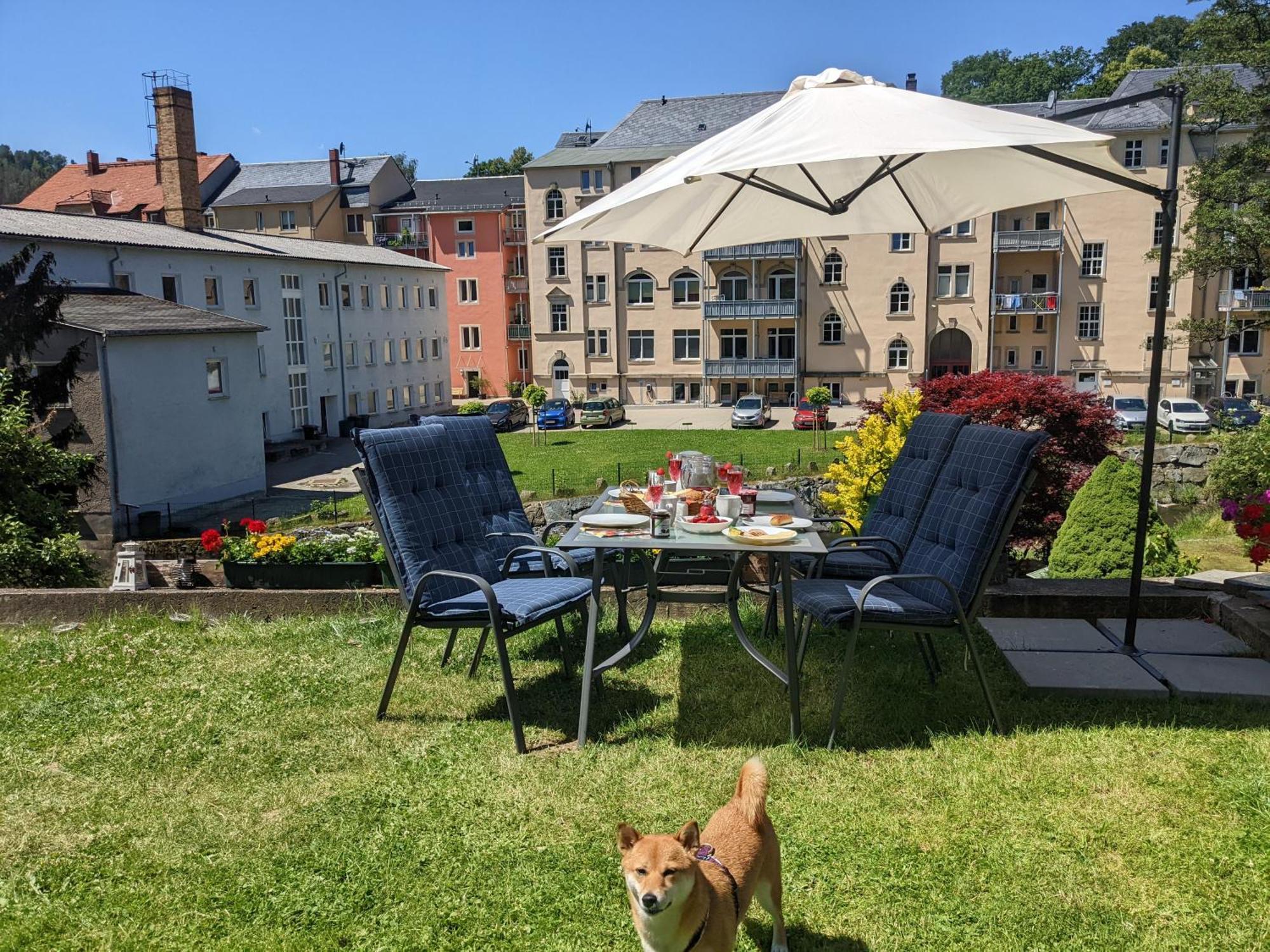 Uo3 - Urlaubsmagie- Urlaubsoase Mitten In Sebnitz Extérieur photo